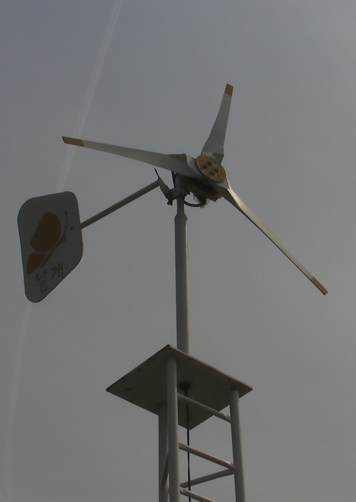 06.jpg